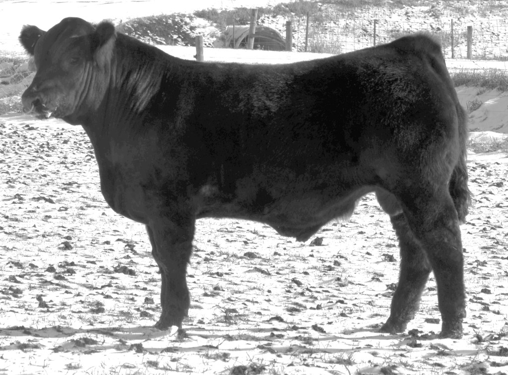 JBV It's About Time 411B