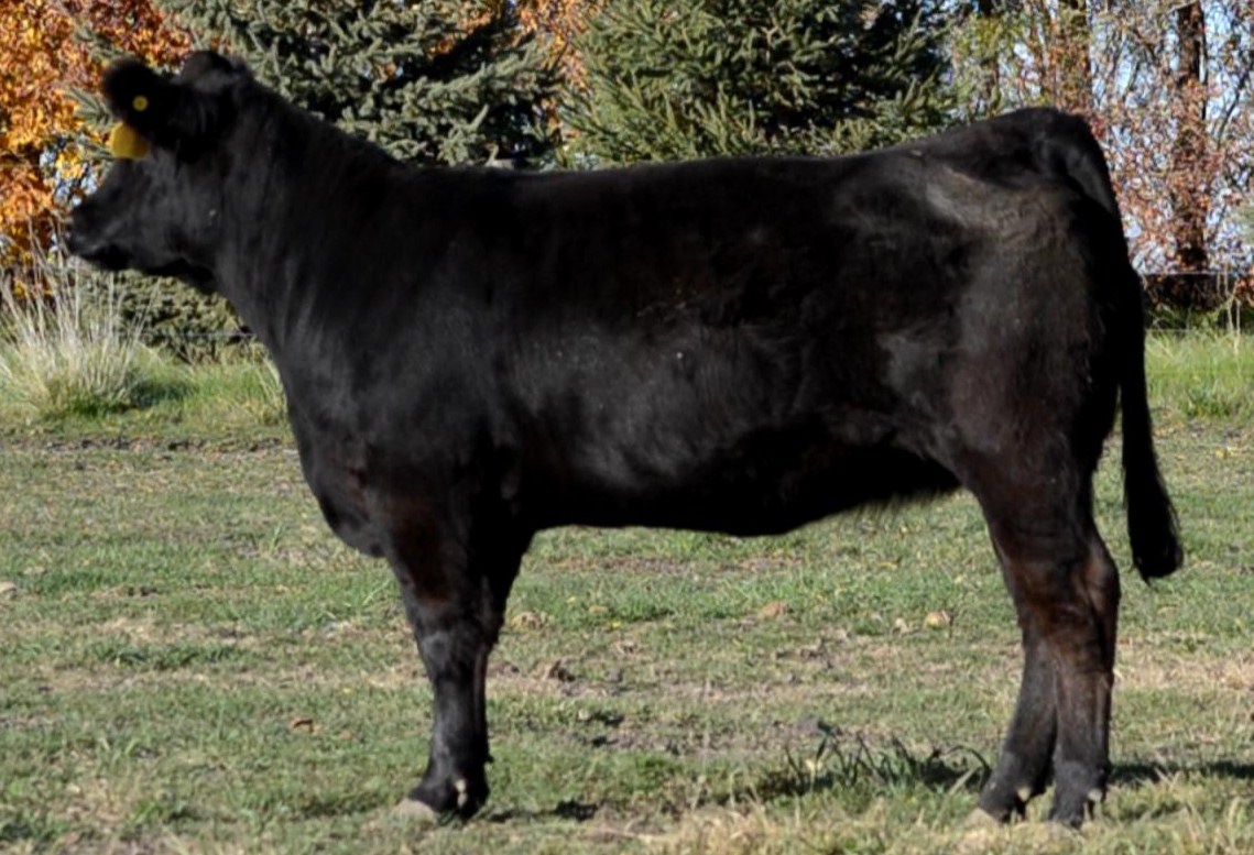 jbv-opera-singer-508c