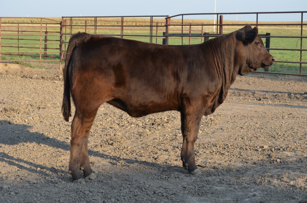 Lot 35 JBV Windchimes 214Z