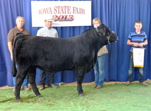 ISF 2013 Res Ch Bull -  JBV Envision