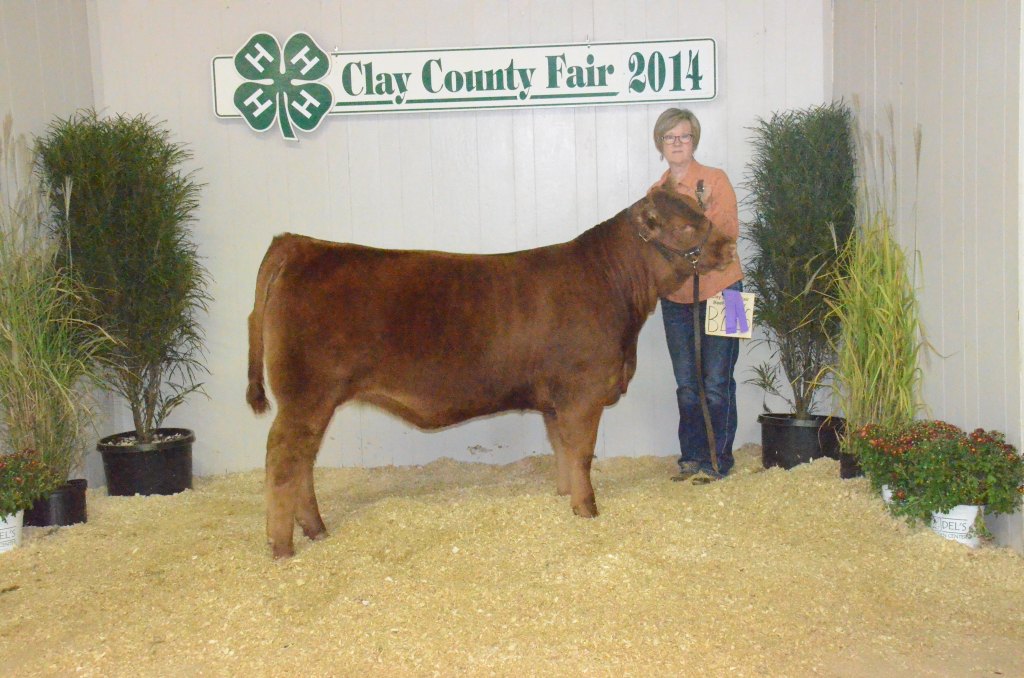 MIDWEST CLASSIC 2014 (114)