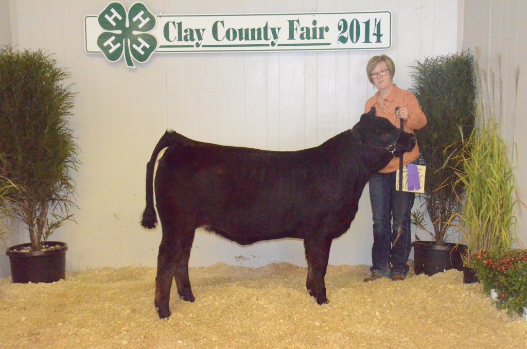 MIDWEST CLASSIC 2014 (116)