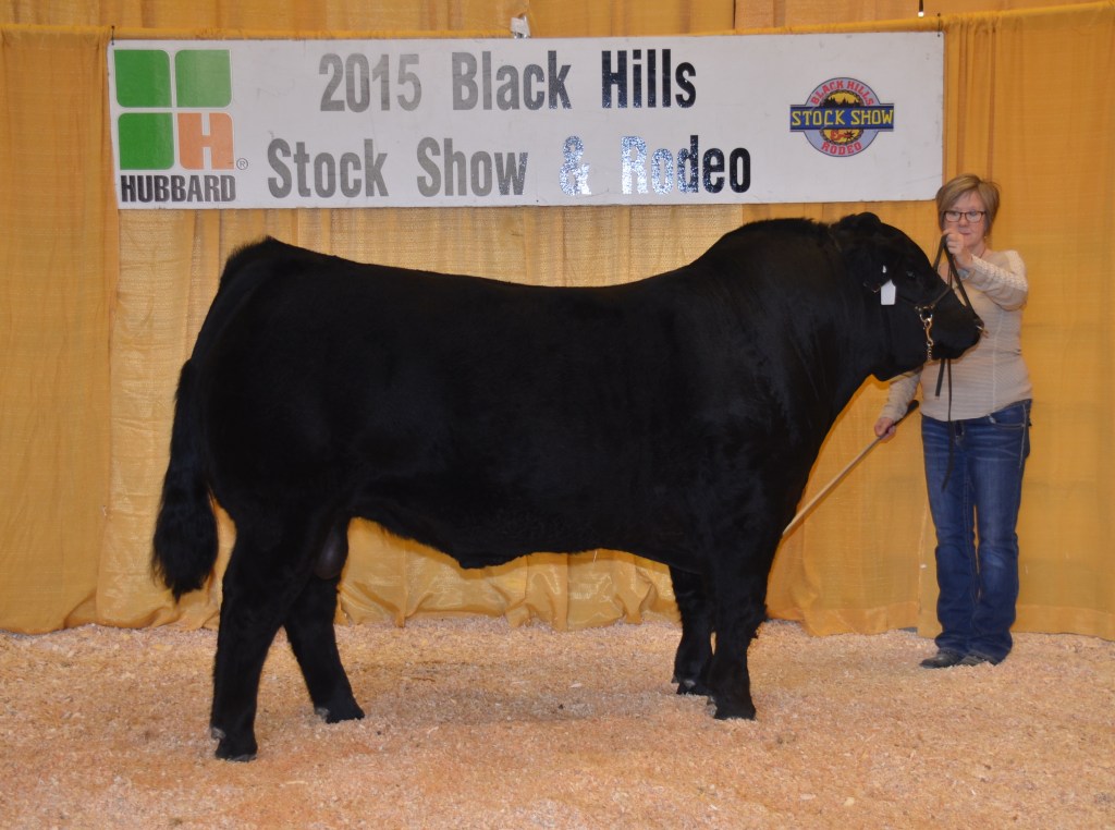 JBV Wind Talker: High Seller at 2015 BHSS